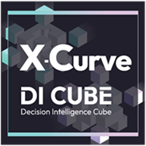디아이큐브 X-Curve
